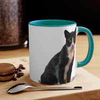 Cat from Hydra - Accent Coffee Mug, 11oz