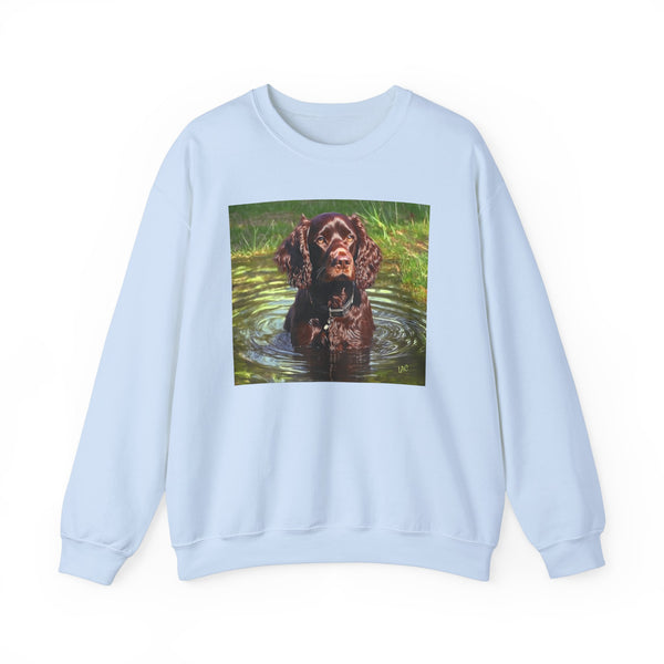 Boykin Spaniel -- Unisex 50/50 Crewneck Sweatshirt