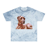 Rhodesian Ridgeback 'Thor' Unisex Cotton Color Blast T-Shirt