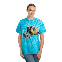 Catahoula 'Clancy' -  Unisex Tie-Dye Tee, Cyclone