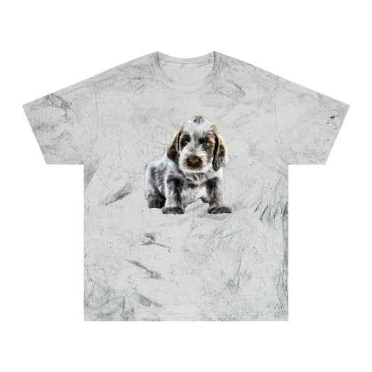 Spinone Italiano Unisex Cotton  Color Blast T-Shirt