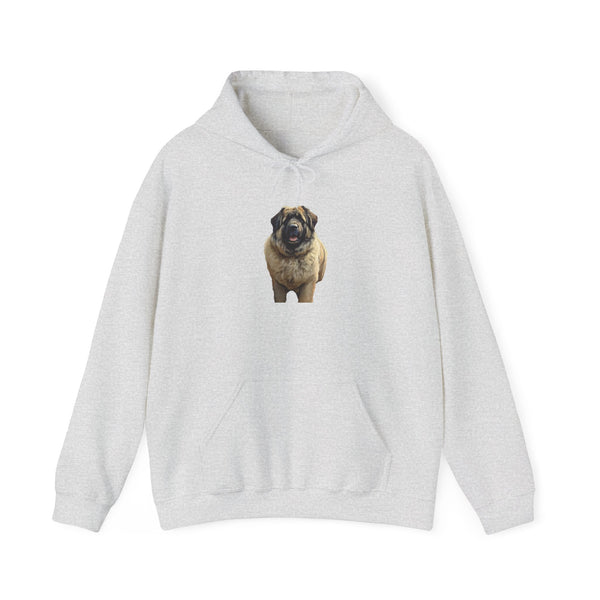 Caucasian Shepherd Dog - Unisex 50/50  Hooded Sweatshirt