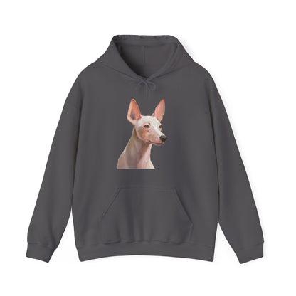 Xoloitzcuintli 'Mexican Hairless' 50/50 Hooded Sweatshirt