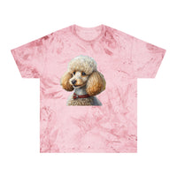 Standard Poodle #2 - Classic Color Blast T-Shirt