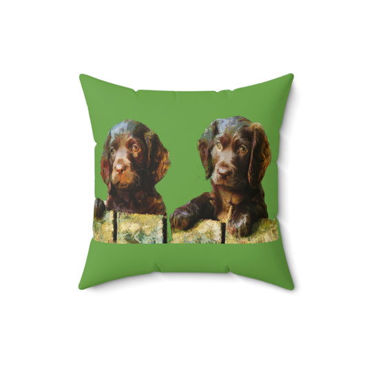 Boykin Spaniels Spun Polyester Throw Pillow