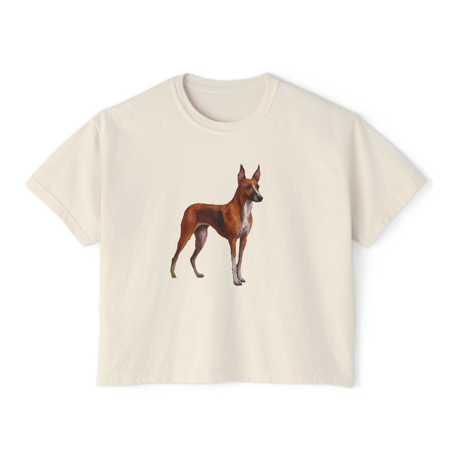 Azawakh Women's Oversized Boxy Tee