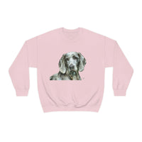 Grayson the Weimaraner - Stay Cozy and Stylish All Day Long with Our U