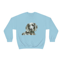 Grayson the Weimaraner - Stay Cozy and Stylish All Day Long with Our U