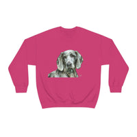 Grayson the Weimaraner - Stay Cozy and Stylish All Day Long with Our U