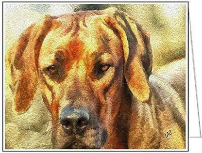 Rhodesian Ridgeback - Zulu - Set of 6 Notecards with envelopes by Dogg