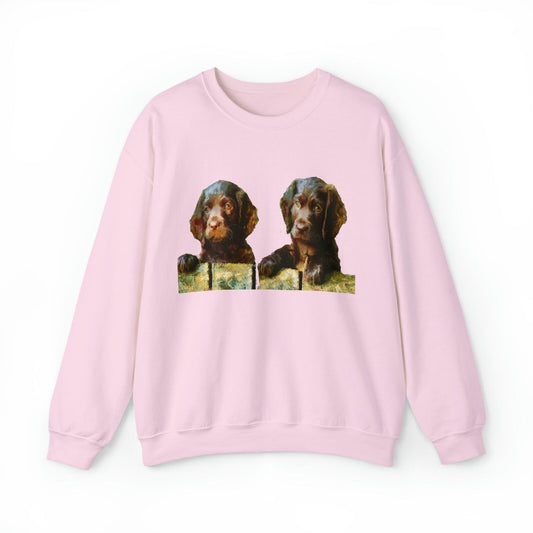 Boykin Spaniels - Unisex 50/50 Crewneck Sweatshirt