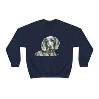 Grayson the Weimaraner - Stay Cozy and Stylish All Day Long with Our U