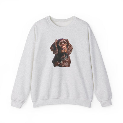 Boykin Spaniel --  Unisex 50/50 Crewneck Sweatshirt