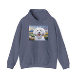 Coton de Tulear  --  Unisex 50/50  Hooded Sweatshirt