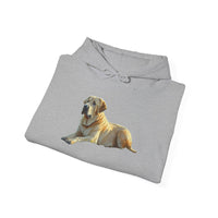 Broholmer - Danish Mastiff Unisex50/50 Hooded Sweatshirt