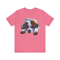 St. Bernard Sontuc - Unisex Cozy Comfort Tee