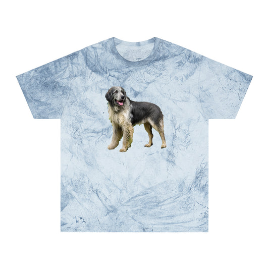 Romanian Carpathian Shepherd  Unisex Color Blast T-Shirt