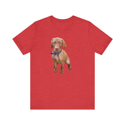 Vizsla 'Augie' Unisex Jersey Short Sleeve Tee