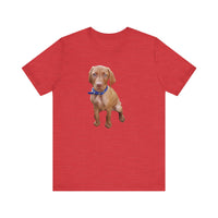 Vizsla 'Augie' Unisex Jersey Short Sleeve Tee