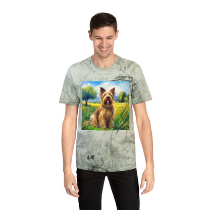 Briard Classic  Color Blast T-Shirt