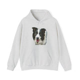 Border Collie #2 - Unisex 50/50 Hoodie