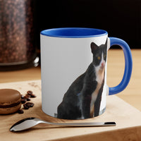 Cat from Hydra - Accent Coffee Mug, 11oz