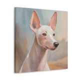 Xoloitzcuintli 'Mexican Hairless' Canvas Gallery Wraps 20 x 20 Inches