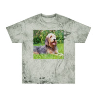 Otterhund Unisex Cotton Color Blast T-Shirt