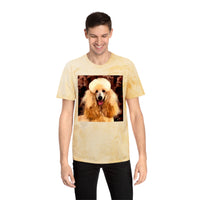 Poodle Cotton Unisex Color Blast T-Shirt