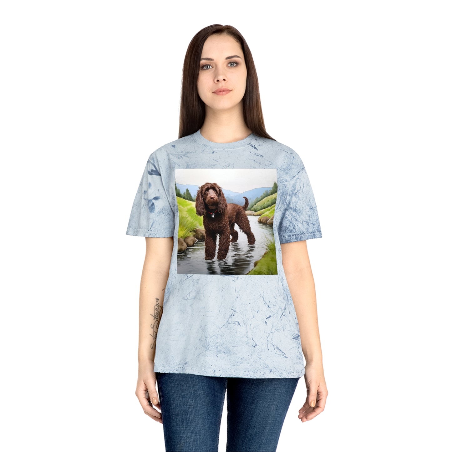 Irish Water Spaniel Unisex Color Blast T-Shirt