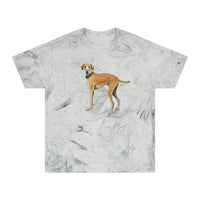 Sloughi - Arabian Greyhound - Unisex Color Blast T-Shirt