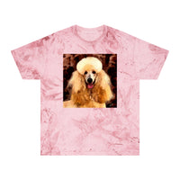 Poodle Cotton Unisex Color Blast T-Shirt