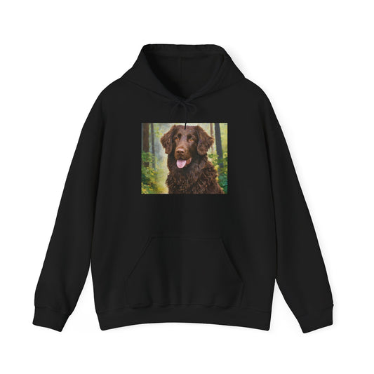 Curly-Coated Retriever Cozy Hoodie