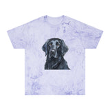 Flat-Coated Retriever Classic Color Blast T-Shirt