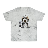 Spinone Italiano Unisex Cotton Color Blast T-Shirt