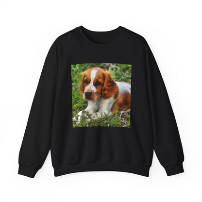 Welsh Springer Spaniel Unisex 50/50  Crewneck Sweatshirt