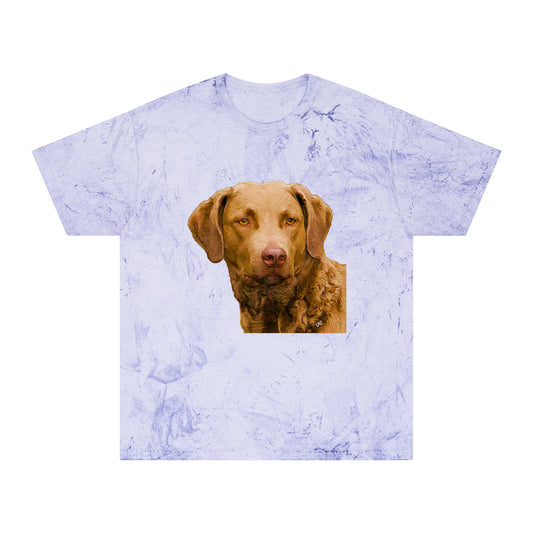 Chesapeake Bay Retriever Classic Color Blast T-Shirt