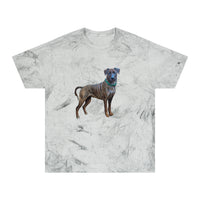 Treeing Tennessee Brindle  Unisex Color Blast T-Shirt