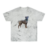 Treeing Tennessee Brindle  Unisex Color Blast T-Shirt