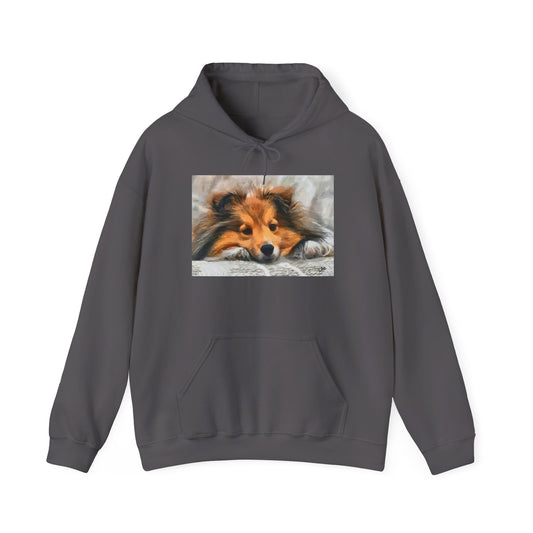 Shetland Sheepdog 'Sleepy Sheltie' Cozy Hoodie