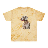 Weimaraner 'Rocky' Unisex RIngspun Cotton  -  Color Blast T-Shirt