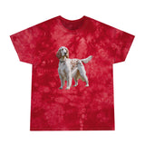 English Setter #4 - Unisex Classic Tie-Dye Tee, Crystal