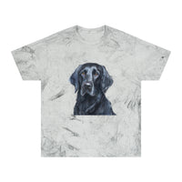 Flat-Coated Retriever Classic Color Blast T-Shirt