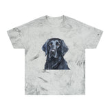 Flat-Coated Retriever Classic Color Blast T-Shirt