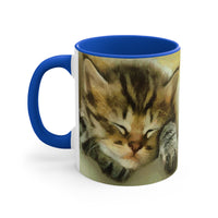 Sleepy Brucie the Cat - Ceramic Accent Coffee Mug, 11oz