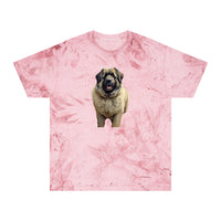 Caucasian Shepherd Dog - Unisex Color Blast T-Shirt