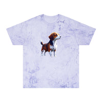 Drever Puppy - Unisex Color Blast T-Shirt