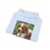 Welsh Springer Spaniel Unisex 50/50 Hoodie