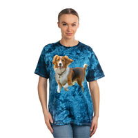 Nederlandse Kooikerhondje  - Tie-Dye Tee, Crystal