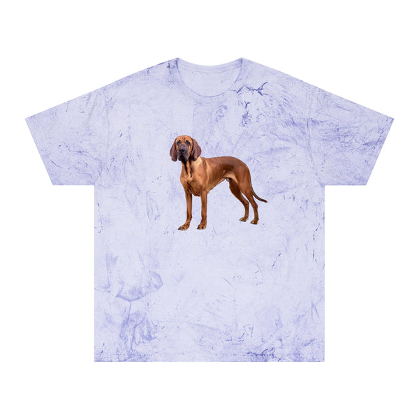 Bloodhound Unisex Color Blast T-Shirt